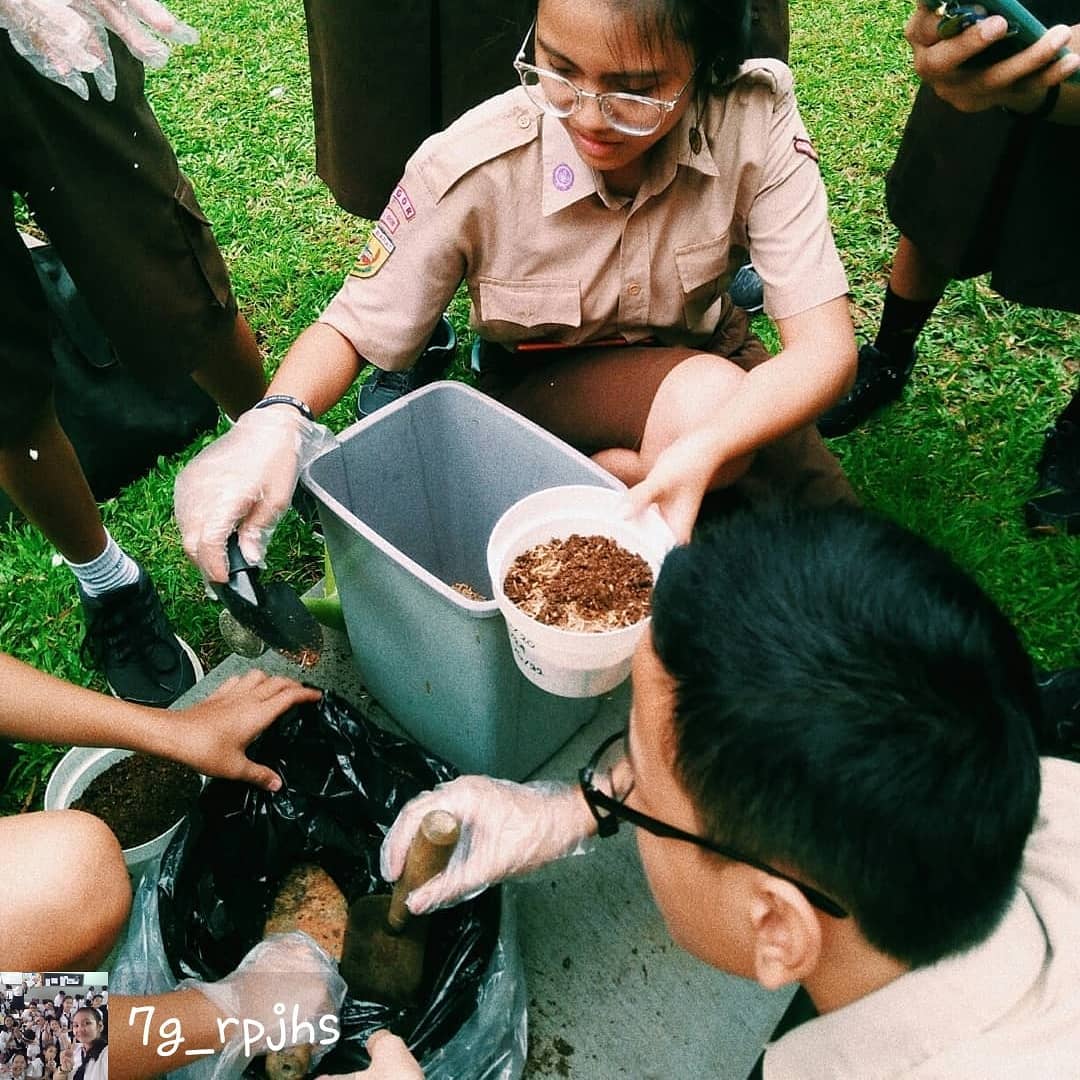 Album Prakarya Menanam Tanaman Obat Sekolah Regina Pacis Bogor